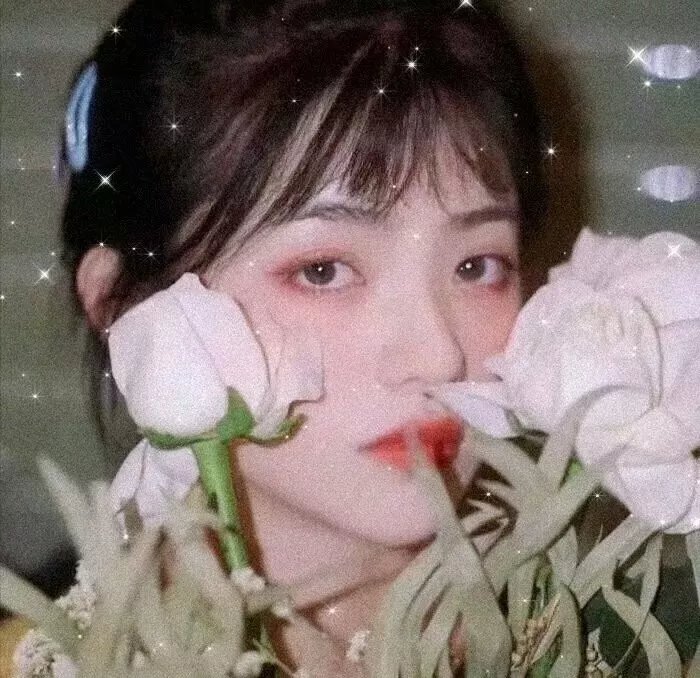 学校怪谈